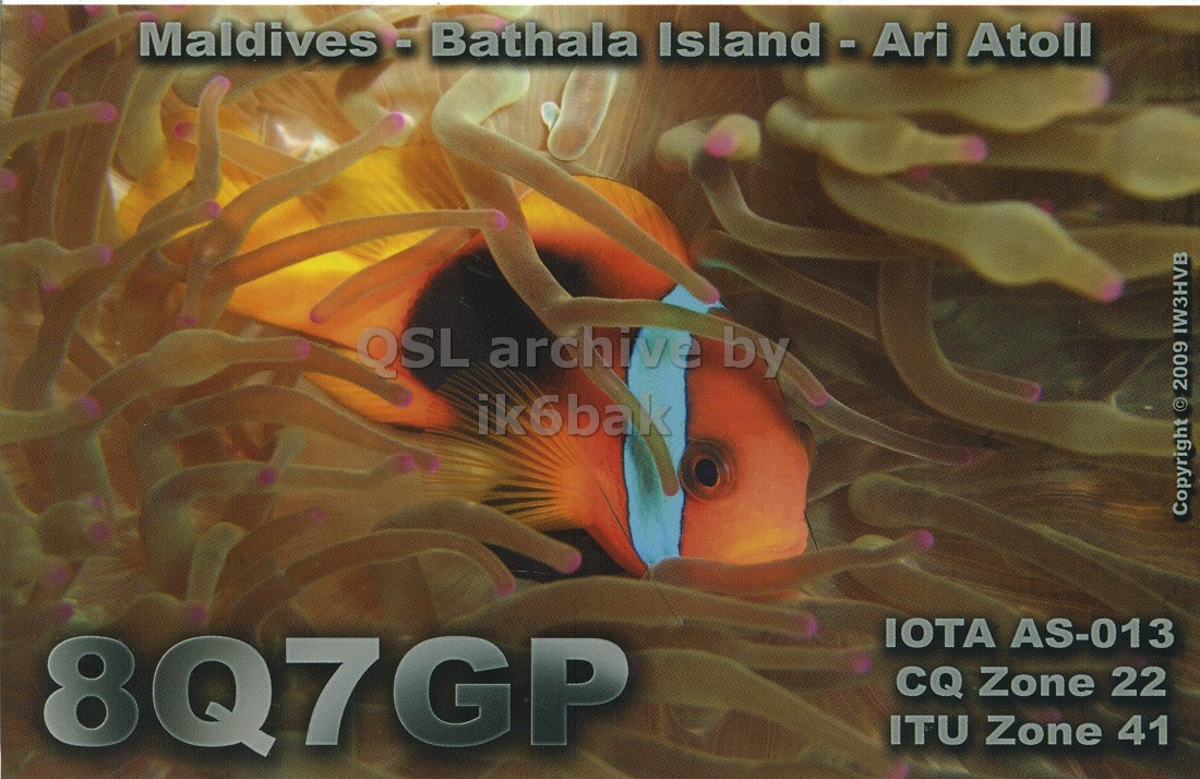 Front QSL card, of 8Q7GP to IK6CQC, June 1, 2009, SSB mode. The QSL image contains the following objects: Amphiprion, Animal, Sea Life, Sea Anemone, Sea. And contains this text: Maldives -Bathala Island - Ari Atoll QSL archive by ik6bak Copyright © 2009 IW3HVB 8Q7GP IOTA AS-013 CQ Zone 22 ITU Zone 41 Island - Ari Atoll QSL archive by ik6bak Copyright © 2009 IW3HVB 8Q7GP IOTA AS-013 CQ Zone 22 ITU Zone 41.