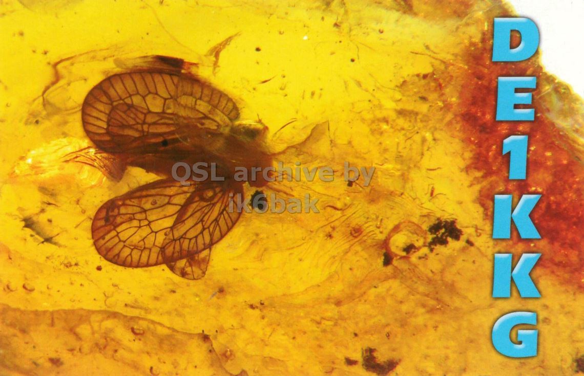 Front QSL card, of DE1KKG to IK2GRA, May 14, 2017, CW mode. The QSL image contains the following objects: Fossil. And contains this text: ik6bak DE1KKG.