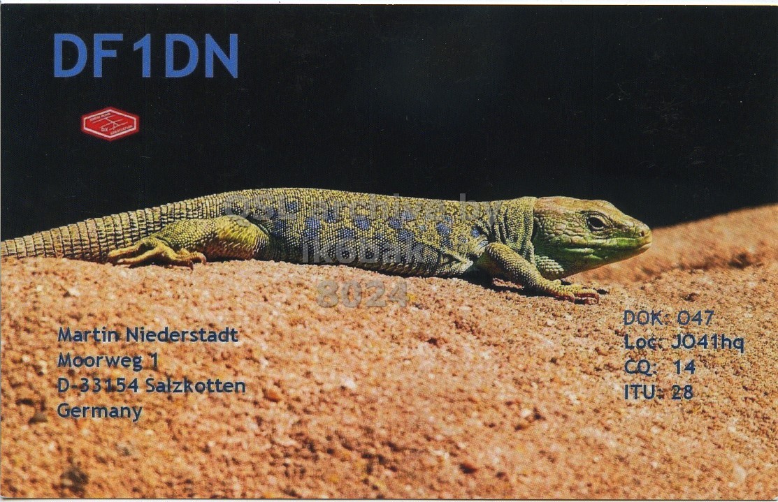 Front QSL card, of DF1DN to IK6BAK, July 1, 2017, CW mode. The QSL image contains the following objects: Animal, Lizard, Reptile, Gecko. And contains this text: DF1DN 8024 DOK 047 Martin Niederstadt Moorweg 1 CO 14 D-33154 Salzkotten ITU 28 Germany.