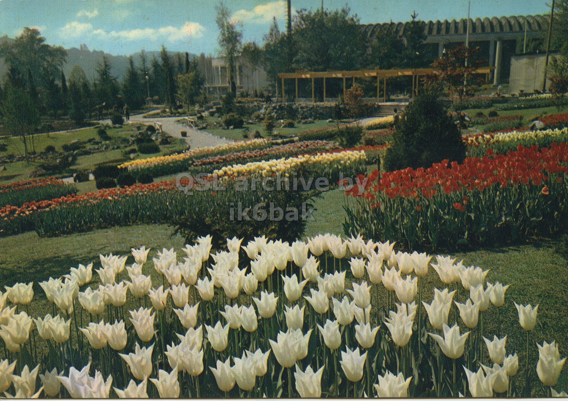 Front QSL card, of I1PS to I1LCN, August 26, 1963, PH mode. The QSL image contains the following objects: Grass, Garden, Outdoors, Flower, Park. And contains this text: QSC archive by ik6bak archive by ik6bak.