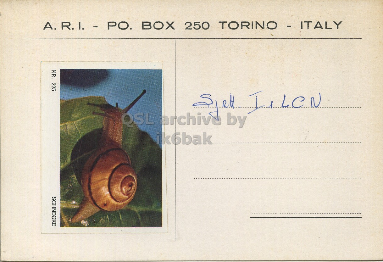 Right QSL card, of I1TTP to I1LCN, February 6, 1971, PH mode. The QSL image contains the following objects: Animal, Insect, Envelope, Mail, Snail. And contains this text: A.R.I. - PO. BOX 250 TORINO - ITALY NR. 225 QSL archive by ik6bak SCHNECKE A.R.I. - PO. BOX 250 NR. 225 QSL archive by ik6bak SCHNECKE.
