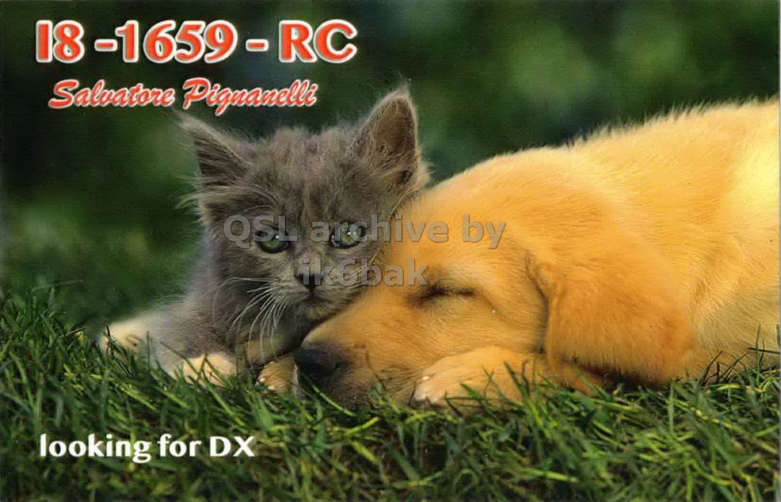 Front QSL card, of I8/1659/RC to IK2GRA, September 25, 2022, CW mode. The QSL image contains the following objects: Animal, Cat, Kitten, Mammal, Grass. And contains this text: 18 -1659-RC Salvatore Pignanelli ik6bak looking for DX.