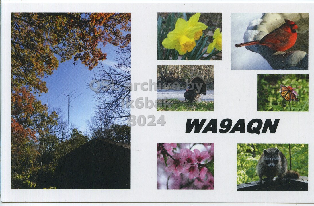 Front QSL card, of WA9AQN to IK6BAK, July 5, 2014, CW mode. The QSL image contains the following objects: Collage, Bird, Flower, Monkey, Beak. And contains this text: rchive by WA9AQN.