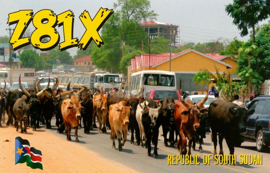 Front QSL card, of Z81X to IK2GRA, February 21, 2016, CW mode. The QSL image contains the following objects: Bull, Cattle, Ox, Cow, Car. And contains this text: Z81X REPUBLIC OF SOUTH SUDAN.