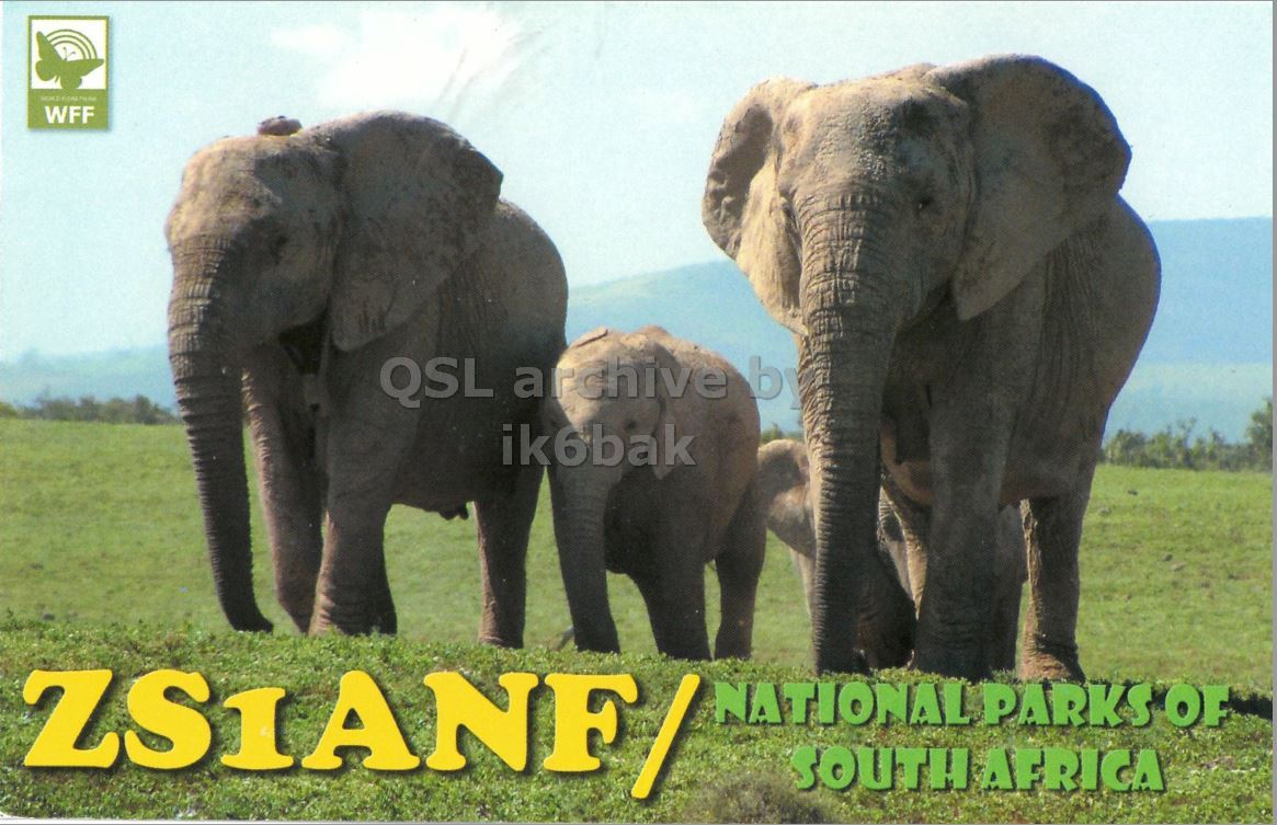 Front QSL card, of ZS1ANF/2 to IK2GRA, April 13, 2015, CW mode. The QSL image contains the following objects: Animal, Elephant, Mammal, Wildlife. And contains this text: WFF ik6bak ZS1ANF/ NATIONAL PARKS OF SOUTH AFRICA.